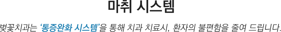 마취 시스템