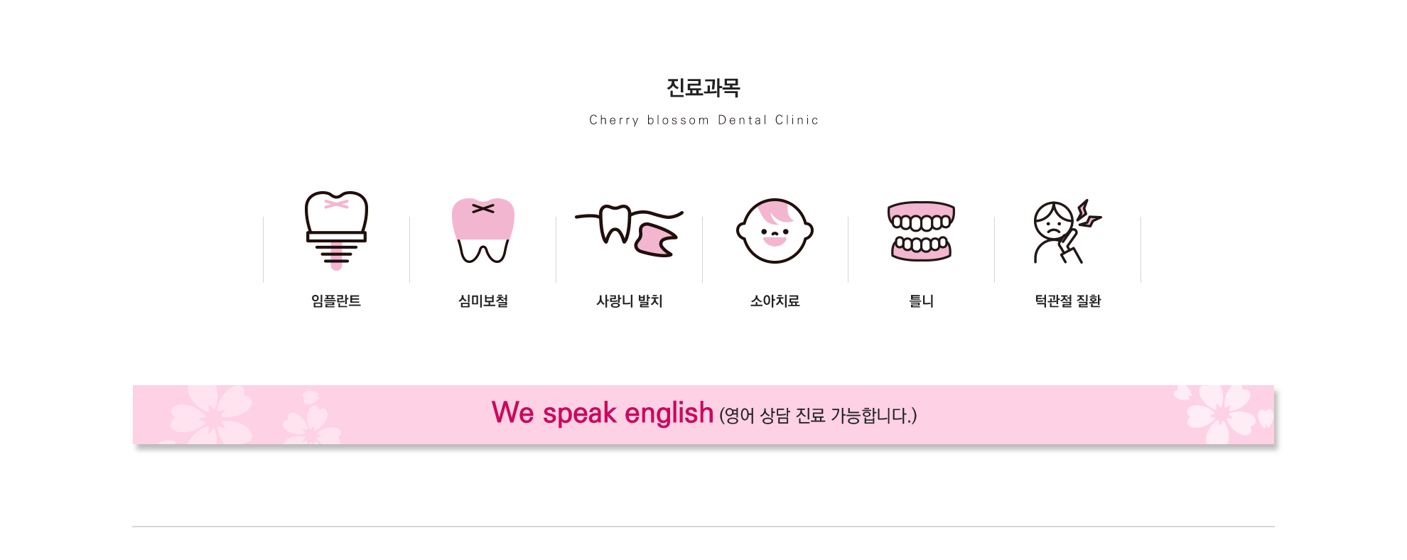 진료과목