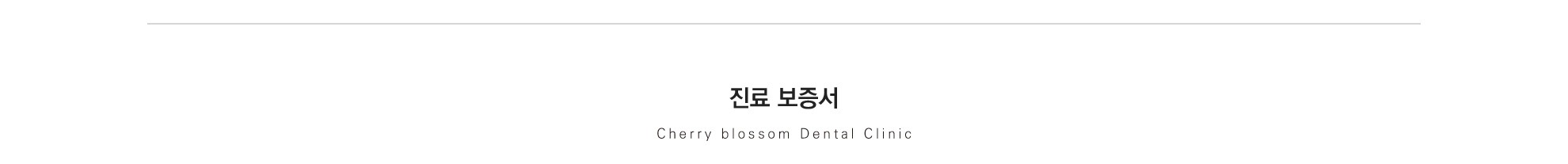 진료보증서